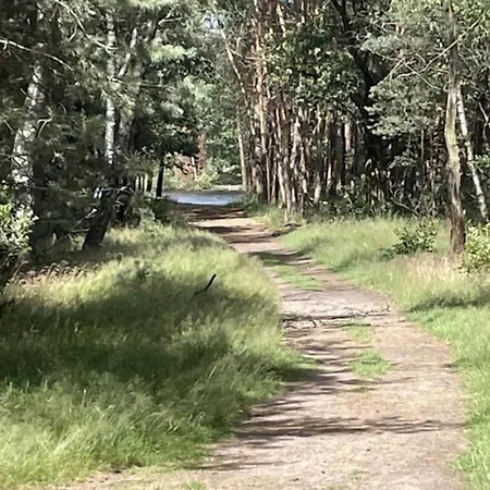 In Veluwe With Veranda * 福尔特赫伊曾