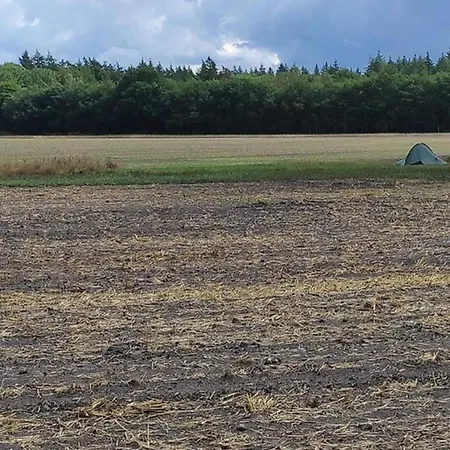 度假居 In Veluwe With Veranda