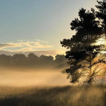 度假居 In Veluwe With Veranda *