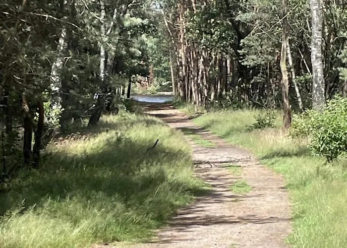 In Veluwe With Veranda * Voorthuizen