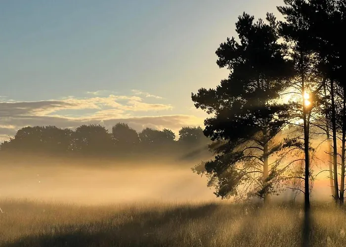 Nyaraló In Veluwe With Veranda *