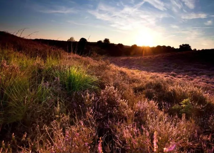 In Veluwe With Veranda Voorthuizen