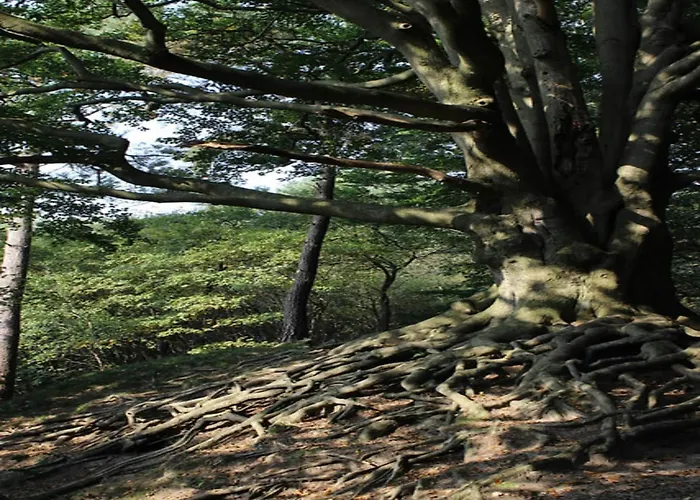 Nyaraló In Veluwe With Veranda *