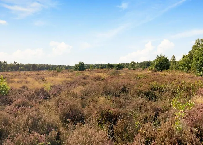 Nyaraló In Veluwe With Veranda