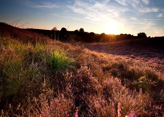 In Veluwe With Veranda Nyaraló *