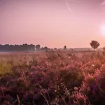 度假居 In Veluwe With Veranda *