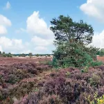In Veluwe With Veranda