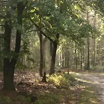 In Veluwe With Veranda 度假居