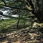 度假居 In Veluwe With Veranda *