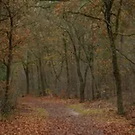 In Veluwe With Veranda 度假居 福尔特赫伊曾