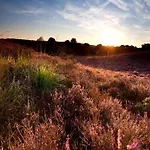 In Veluwe With Veranda 度假居 *