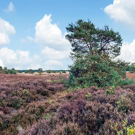 In Veluwe With Veranda