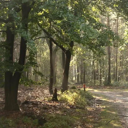 In Veluwe With Veranda بيت للعطل