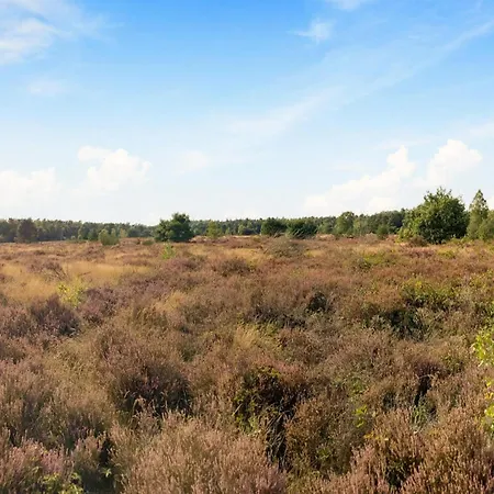 بيت للعطل In Veluwe With Veranda