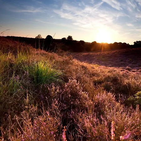 In Veluwe With Veranda بيت للعطل *